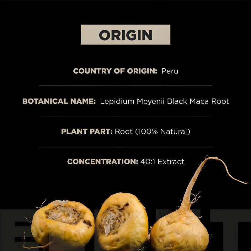 Black background with text about Lepidium Meyenii Black Maca Root and three root samples at the bottom.