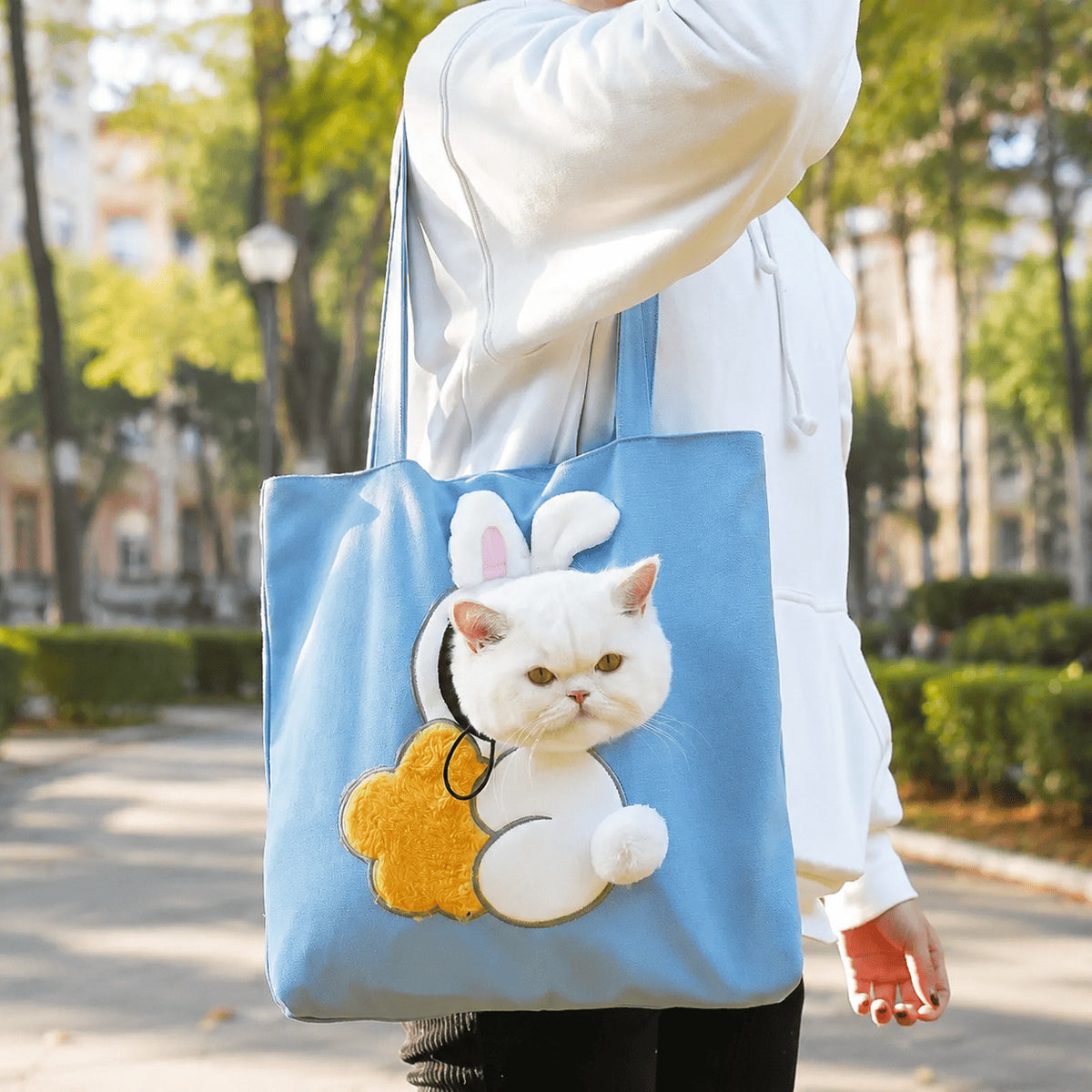 PurrPaws™ Canvas Pet Carrier Tote for Cats & Small Dogs