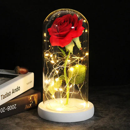 Valentine's Day Eternal Artificial Rose with LED strip light and glass cover